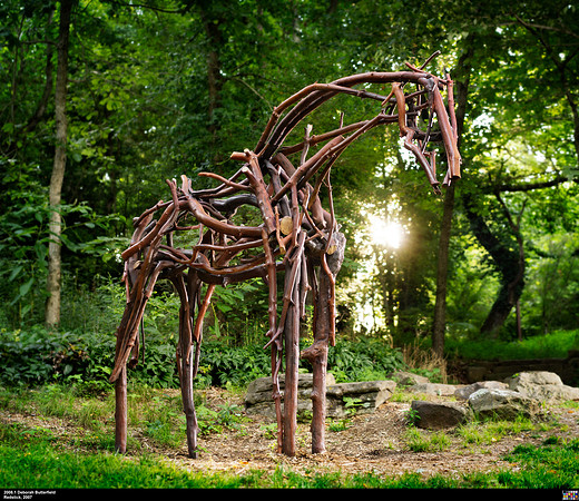 2008.1 Deborah Butterfield