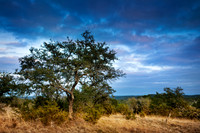 Hill Country West of Austin