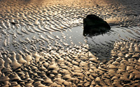 East Beach Patterns-Galveston TX