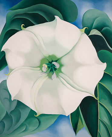 2014.35 Georgia O'Keeffe