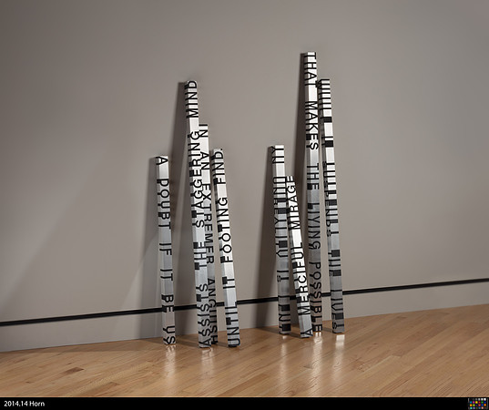 2014.14 Roni Horn