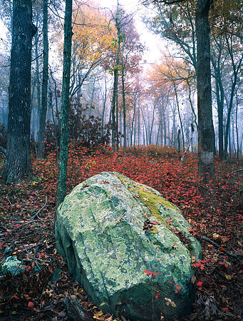 Green Rock