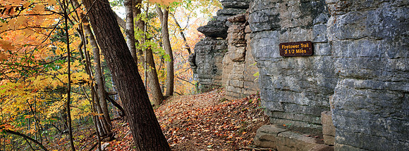 Roaring River Fire Tower Trail