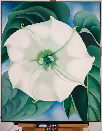 2014.35 Georgia O'Keeffe